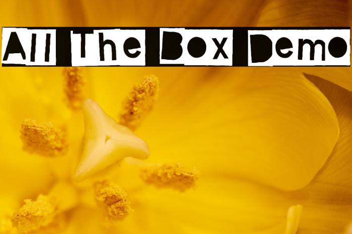 All The Box Demo Example 2