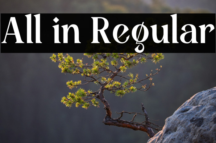 All in Regular Example 1