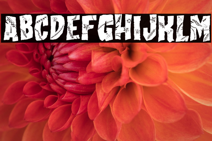 All my Stitches Example 1