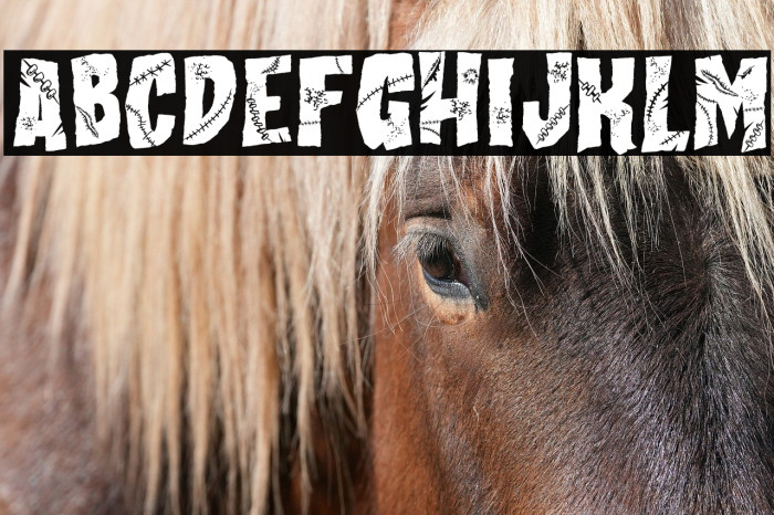 All my Stitches Example 2