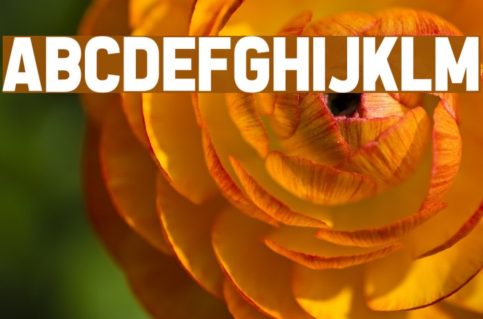 All the Way to the Sun Font examples