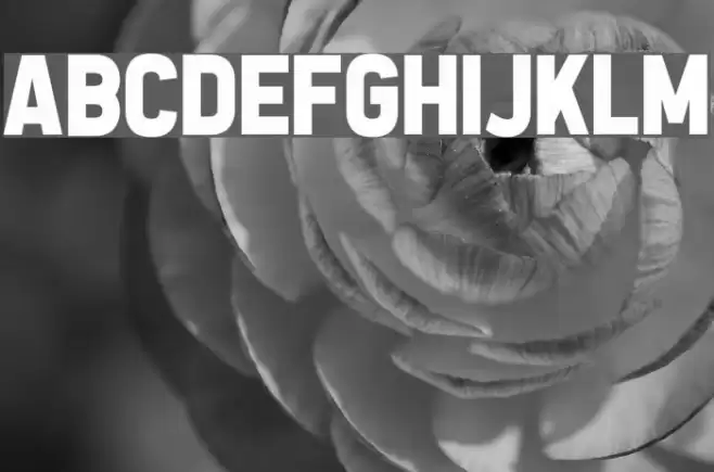 All the Way to the Sun Font examples