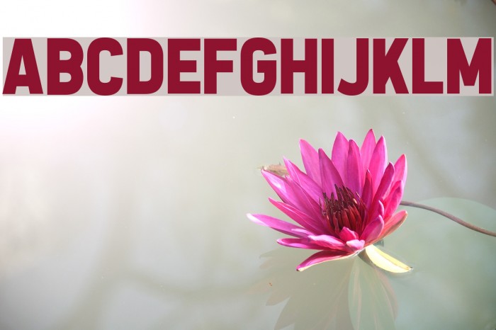 All the Way to the Sun Font examples