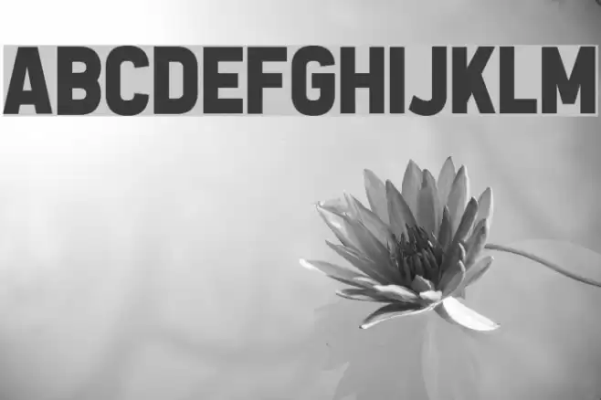 All the Way to the Sun Font examples