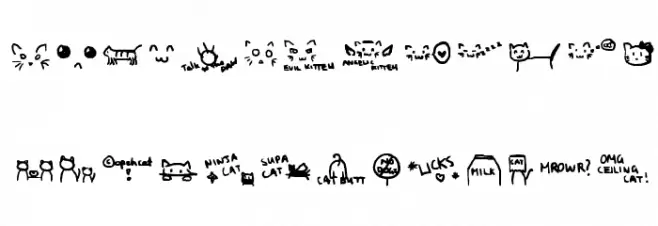 All things CAT! Font Litere mari