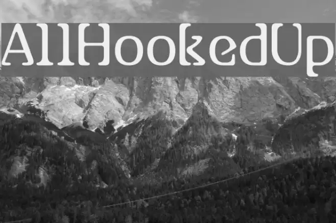 AllHookedUp Fonte examples