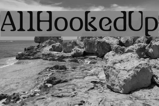 AllHookedUp Fonte examples