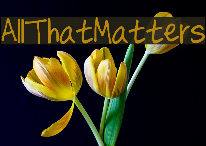 AllThatMatters Font examples
