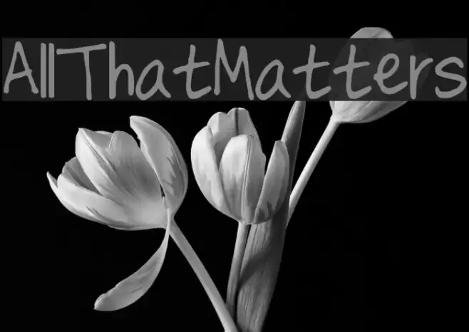 AllThatMatters Font examples