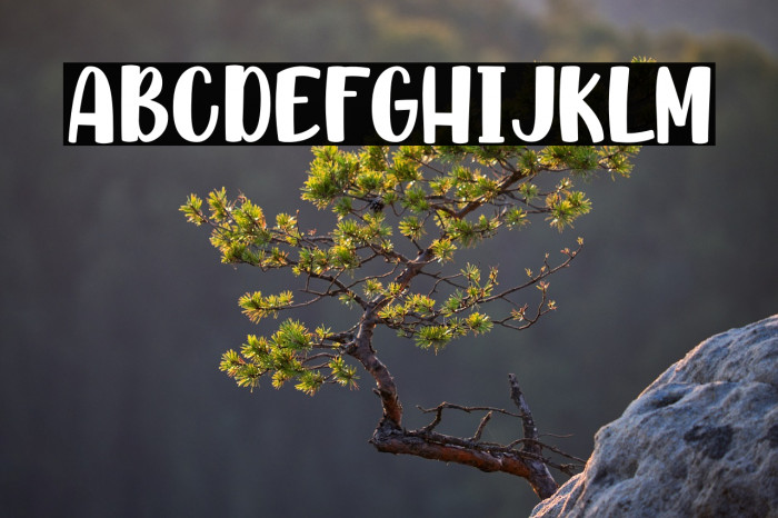 AllTheRollPersonalUse Example 3