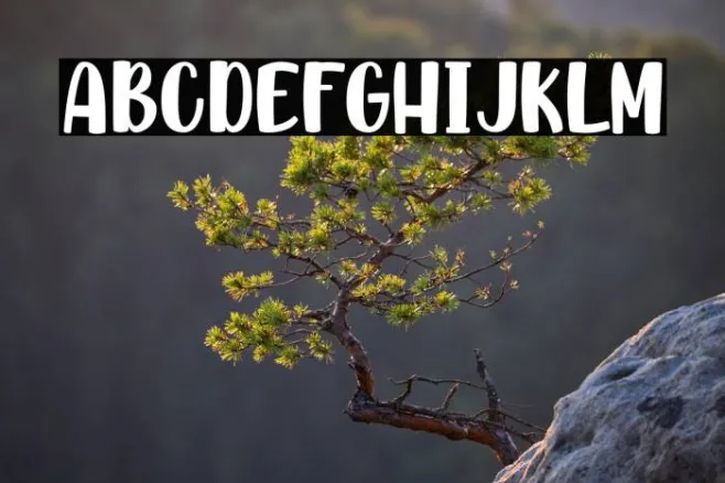 AllTheRollPersonalUse Example 3