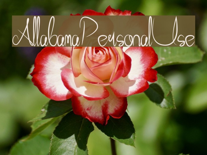 AllabamaPersonalUse Font examples