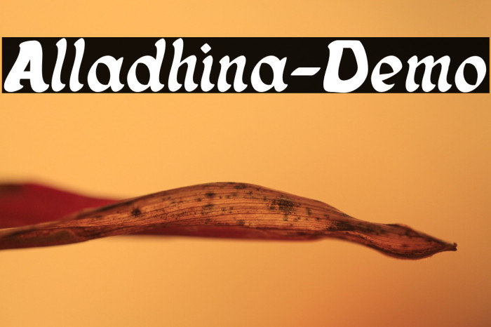 Alladhina-Demo Example 1