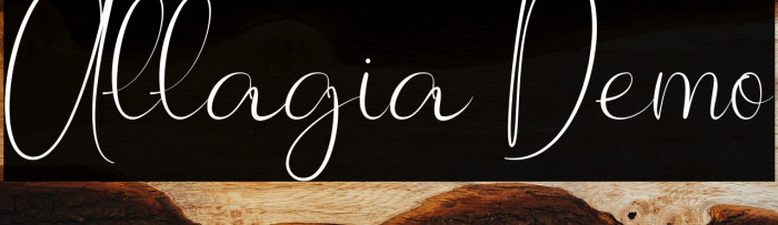 Allagia Demo Example 1