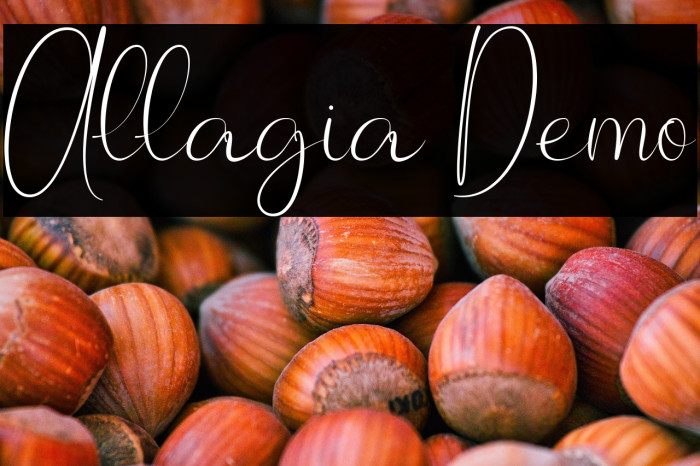 Allagia Demo Example 3