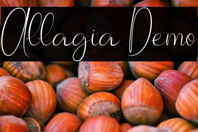 Allagia Demo Example 3