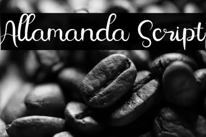 Allamanda Script Font examples