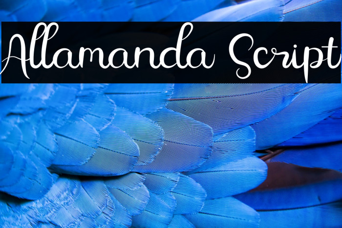 Allamanda Script Example 2