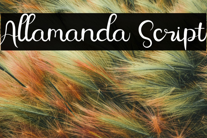 Allamanda Script Example 3