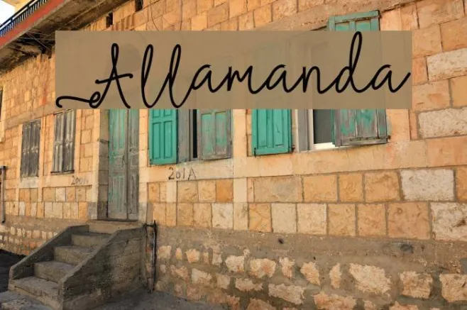 Allamanda Example 2