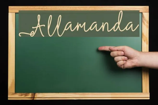 Allamanda Example 3