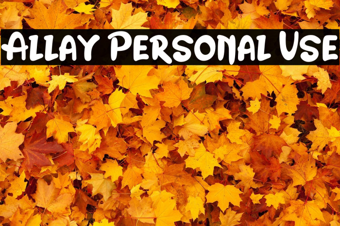 Allay Personal Use Example 2