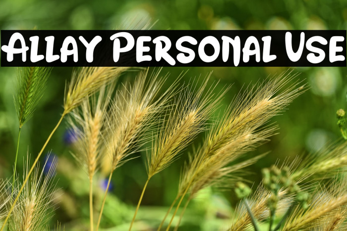 Allay Personal Use Example 3