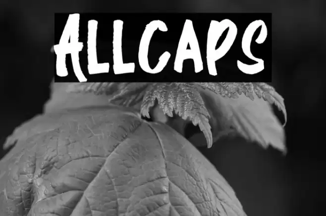 Allcaps Font examples