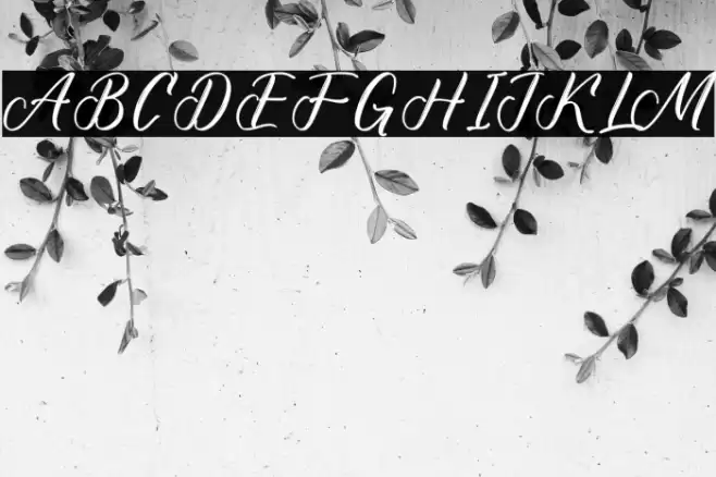 Alldegha Ramture DEMO VERSION Font examples