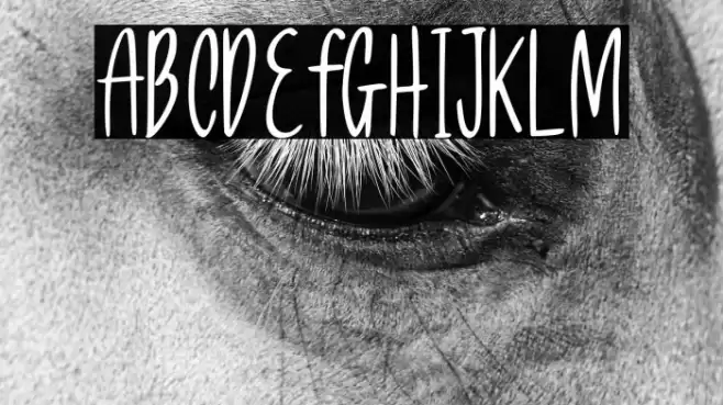 Allea Sweet Demo Font examples