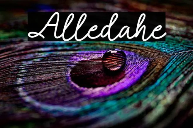 Alledahe Example 2