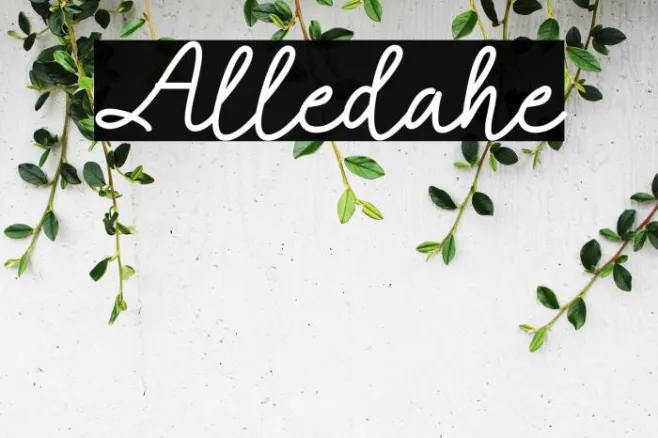 Alledahe Example 3