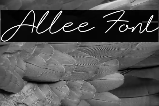 Allee Font examples