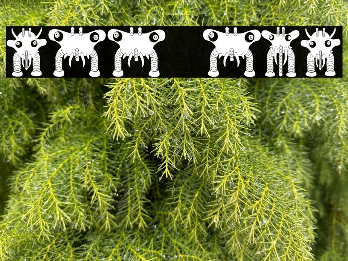 Alleen Regular Example 2