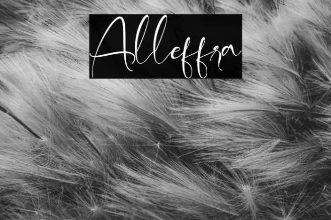 Alleffra Font examples