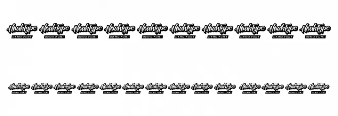 Allegation Demo Bold Italic Font OTHER CHARS