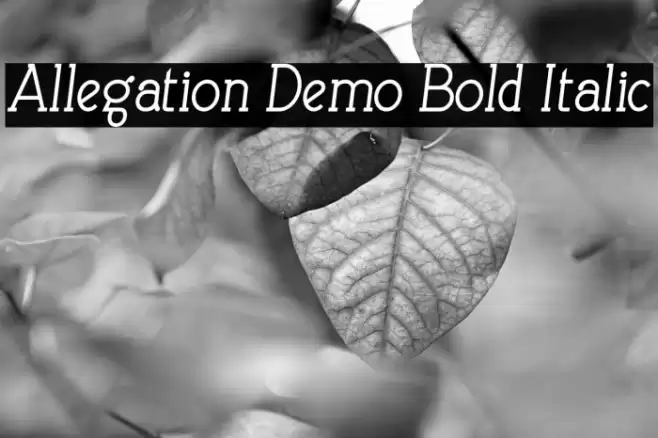 Allegation Demo Bold Italic Font examples