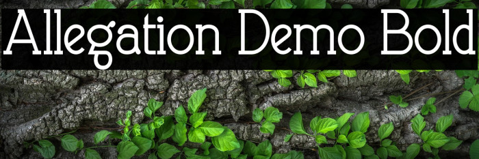Allegation Demo Bold Example 3