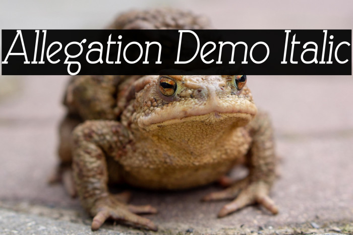 Allegation Demo Italic Example 1