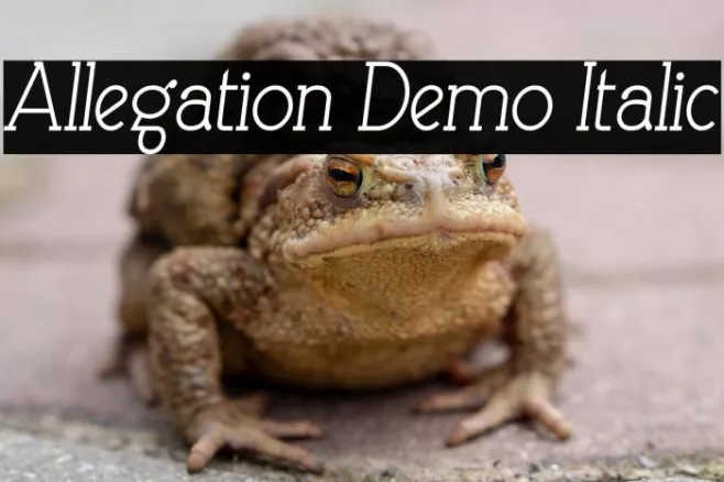 Allegation Demo Italic Example 1