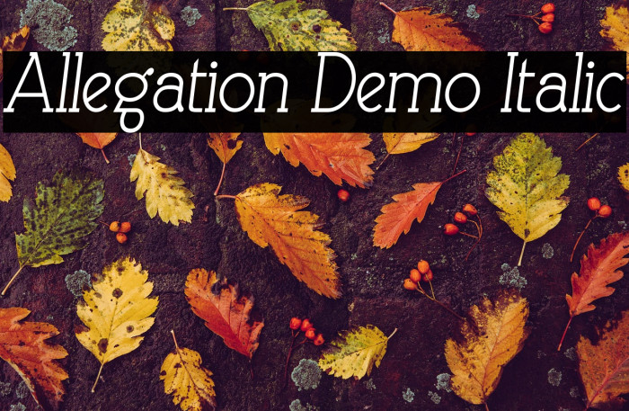 Allegation Demo Italic Example 3