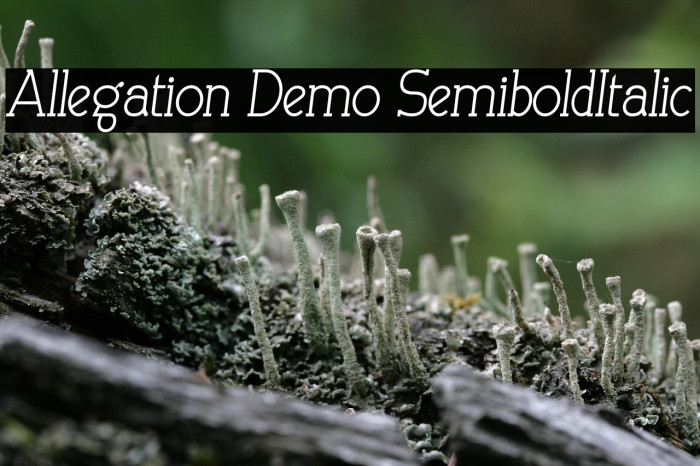 Allegation Demo SemiboldItalic Example 1