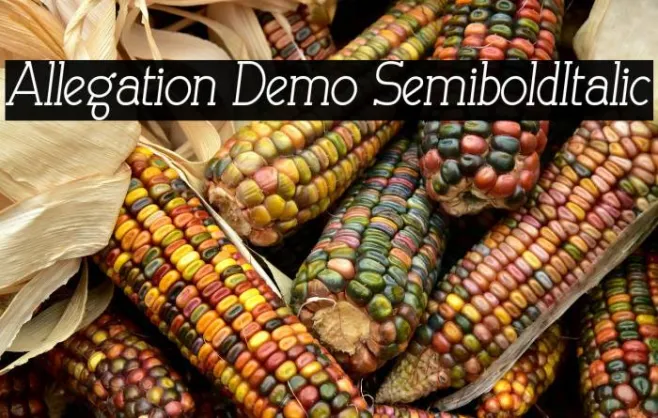 Allegation Demo SemiboldItalic Example 3