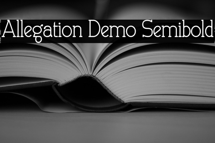 Allegation Demo Semibold Example 2