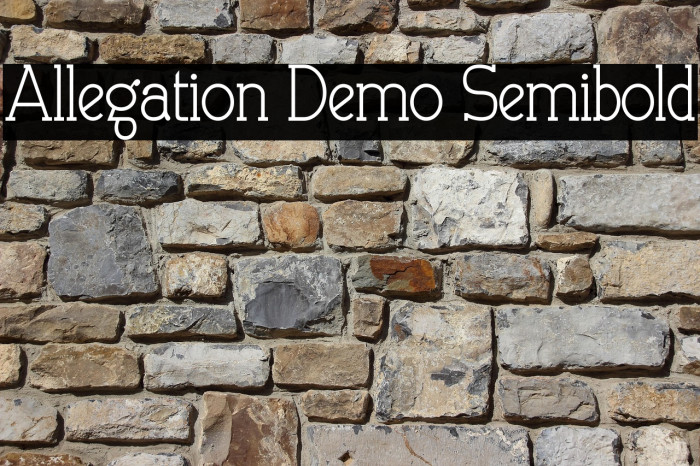 Allegation Demo Semibold Example 3