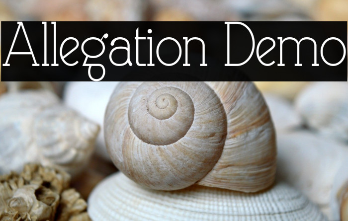 Allegation Demo Example 3