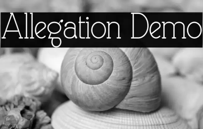 Allegation Demo Font examples
