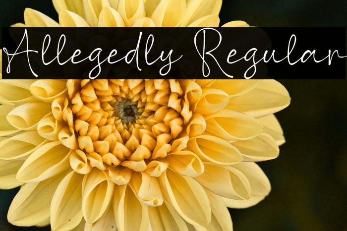 Allegedly Regular Example 3