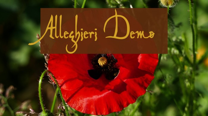 Alleghieri Demo Font examples