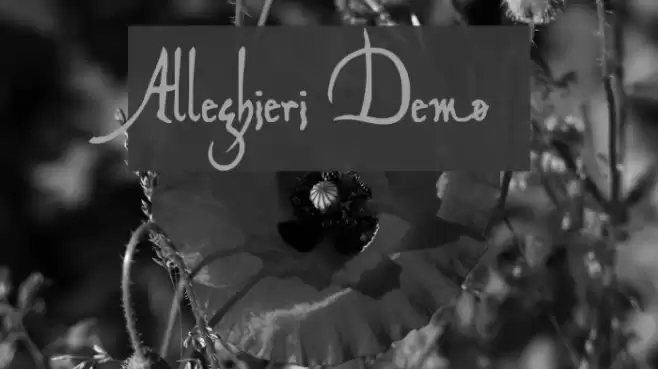 Alleghieri Demo फ़ॉन्ट examples
